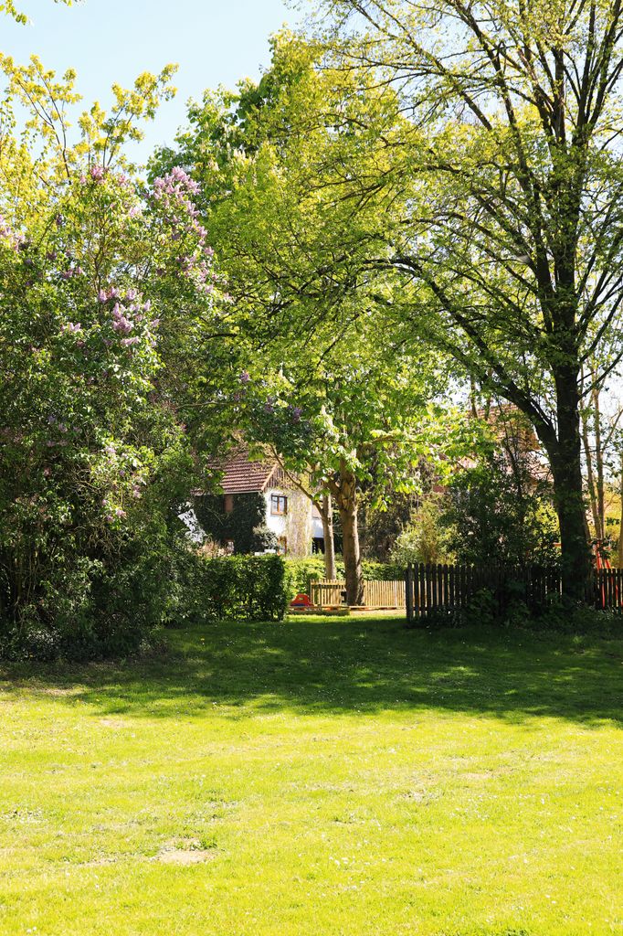 tuin rijplaat
